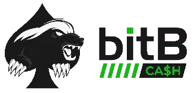 BitB Cash PioSolver Masterclass