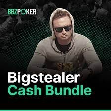 bigstealer cash bundle
